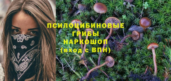гашик Балабаново