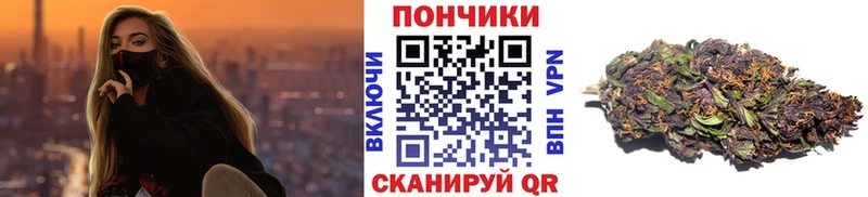 Каннабис SATIVA & INDICA Шагонар
